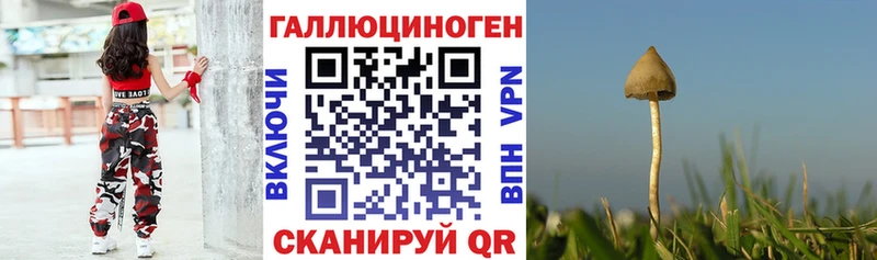 закладки  Краснокаменск  Галлюциногенные грибы мицелий 