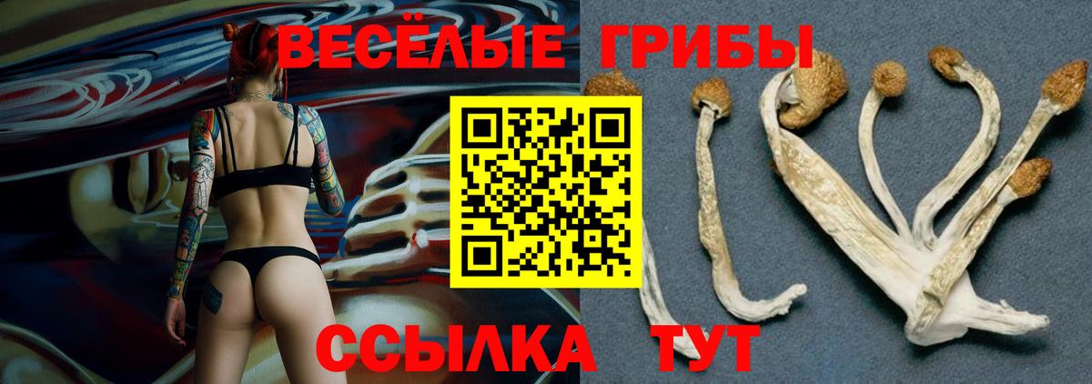 Галлюциногенные грибы прущие грибы Краснокаменск