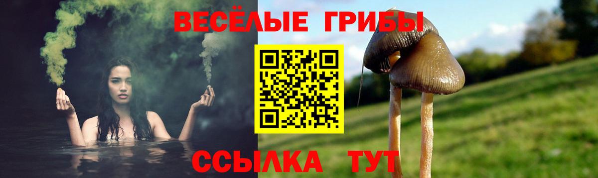 Псилоцибиновые грибы прущие грибы  Вход с VPN  Краснокаменск 